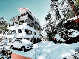 The MoonLight Stay - Shimla - Shimla - 1
