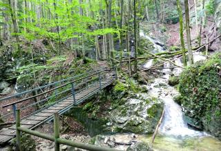 Landhaus Falkennest - Flintsbach am Inn - 1