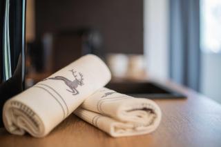 Feiserhof Navis - Appartements - Navis - 3