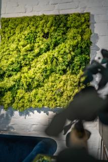 Boxi Jungle House - unique in Friedrichshain - 3BR - Berlin - 3