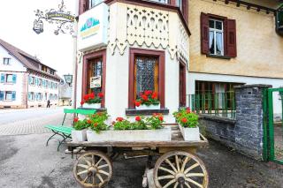 Lenzkircher Hof - Lenzkirch - 8