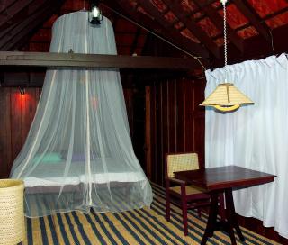 Elephant Courtyard- A Heritage Homestay - Alleppey - 4
