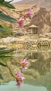 Wadi Bani Khalid - Al Joud Green Hostel - 2