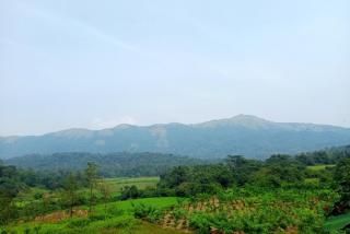 Himani Heritage Resorts, formerly Camp Nishani Holidays - Madikeri - 7
