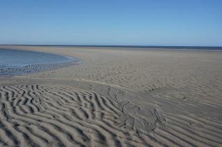 DUeNENBAKE-21 - Sankt Peter-Ording - 1