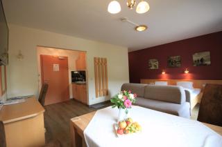 Haus Alexander - Schladming - 3