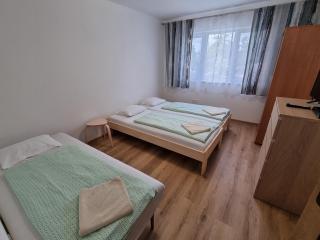 family cottage - Senica - 3