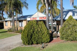 Lone Pine Motel - Corowa - 6