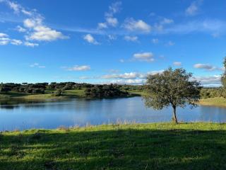 Herdade Terra rica - Alcácer do Sal - 0