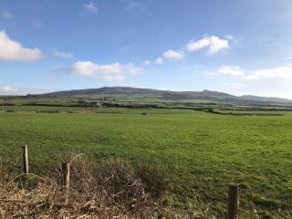 Welsh Cottage - Aberdaron - Aberdaron - 1
