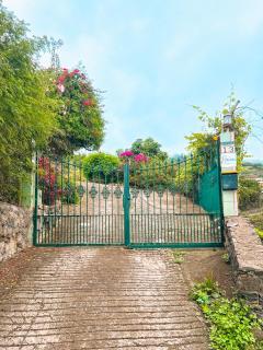 Quaint artist cottage in marvelous nature - Alegrias - La Orotava - 9