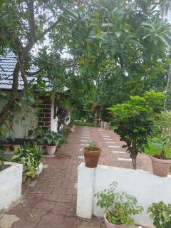 Celestial Homestay - Wayanad - 9