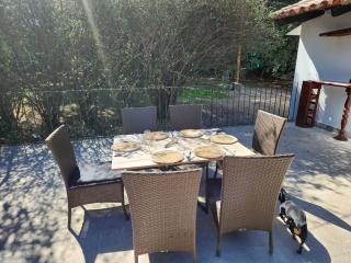 LOS OLIVARES. SAN LORENZO - 4