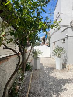 Casa di Roberta - Passoscuro - 5