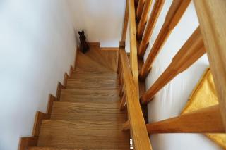 Airport Studio Loft - Galleria - Belgrado - 5