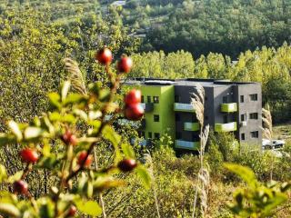 Cuibul Verde Copou - Iaşi - 9