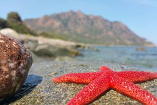 VILLA MARIS HOLIDAYS - close to the Sea, beach 5 mins walk - 7