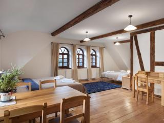 Villa Greta - Schönau an der Katzbach - 2