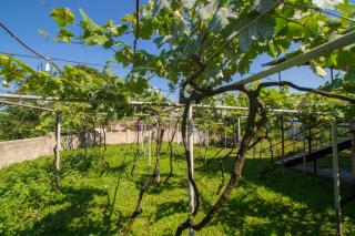 Irakli Guest House - 2