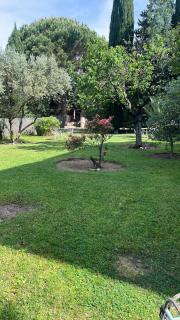 Le Mazet des Mûres - Grimaud - 4