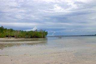 Deep Forest Garden Hotel - 6