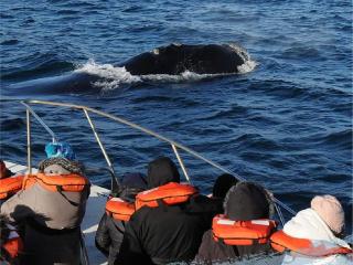 Cerca del Mar - Puerto Madryn - 8