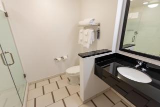Fairfield Inn & Suites by Marriott Athens I-65 - Athens - 5