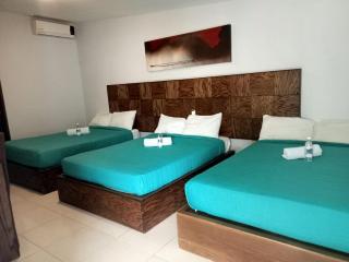 JM Ejecutivo Celaya,Centro Histórico - Celaya - 2
