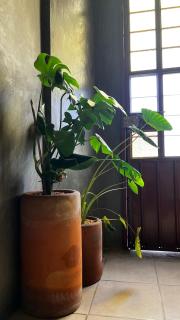 CASA PATO - Città di Oaxaca - 1