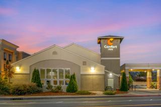 Comfort Inn Arcata - Arcata - 5