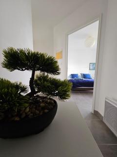 VIKI - THALASSO CONCARNEAU - 2 à 4 personnes - 1