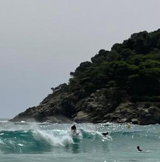 Apartamento en la Playa de la Fosca - San Juan de Palamós - 7