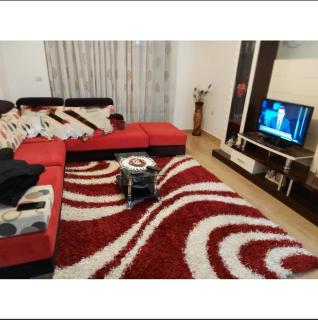 Drilon Luxury Apartment - Tushemisht - 2