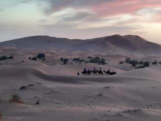 Merzouga starlit desert camp - 5