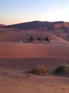 Merzouga starlit desert camp - 2