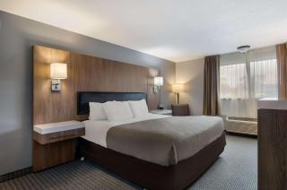 Quality Inn & Suites Silverdale Bangor-Keyport - Silverdale - 4