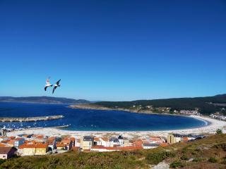 Borsil - A Coruña - 0