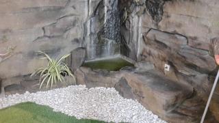 Guest House Omah Ningrat Surabaya - Surabaya - 5