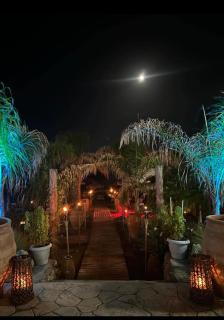 Anthias Beach Home - 7