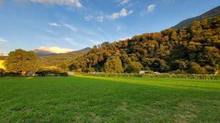 33 Self Check-in 24h - 4