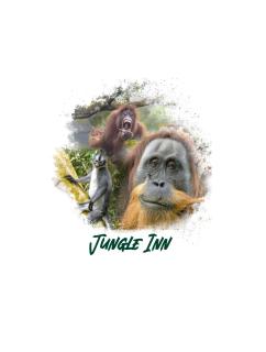 Jungle Inn Bukit lawang - Bukit Lawang - 3