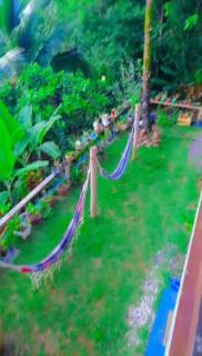 A Figueira Sagrada - Hostel - 6