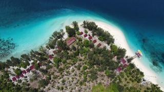 Andau Dive Resort Raja Ampat - 5