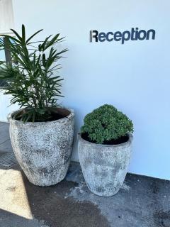 Surf Beach Motel Newcastle - 7