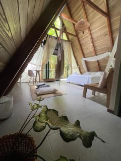 TAGUA LODGE - Tena - 4
