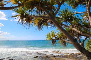 Alex Heads Beachfront Resort 2 bedroom apartment - Alexandra Headland - 7
