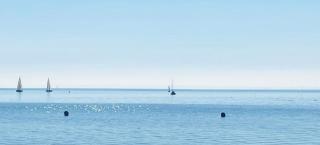 Storchennest am Dümmer - 0