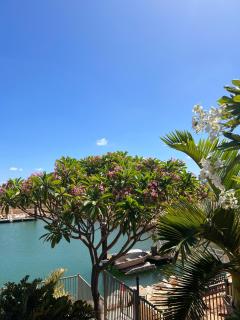 Gecko - On the Marina with Pool & Private Jetty - Exmouth - 4