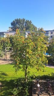 Rum i lyxig lägenhet nära Emporia - Malmö - 9