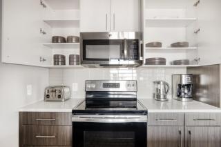 North Station 1br w wd gym nr TD Garden BOS-839 - 4
